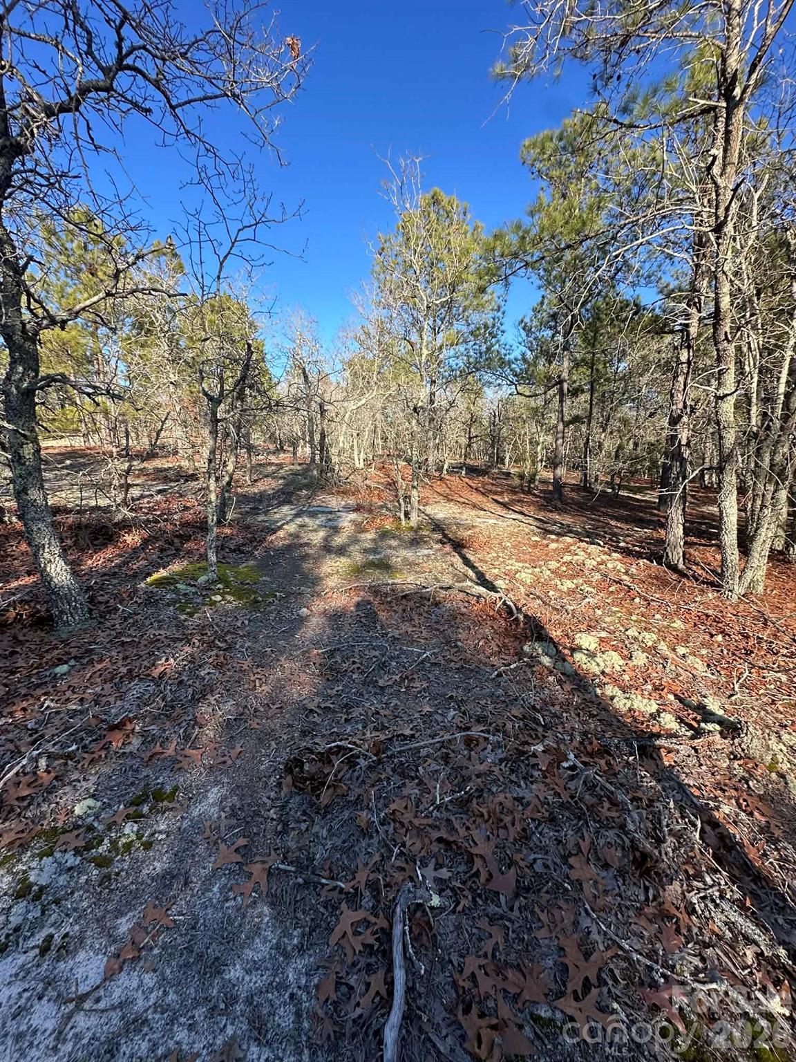 0 Unnamed Road Ruby, SC 29741 - Photo 10 of 14 a view of a yard covered with snow in the yard