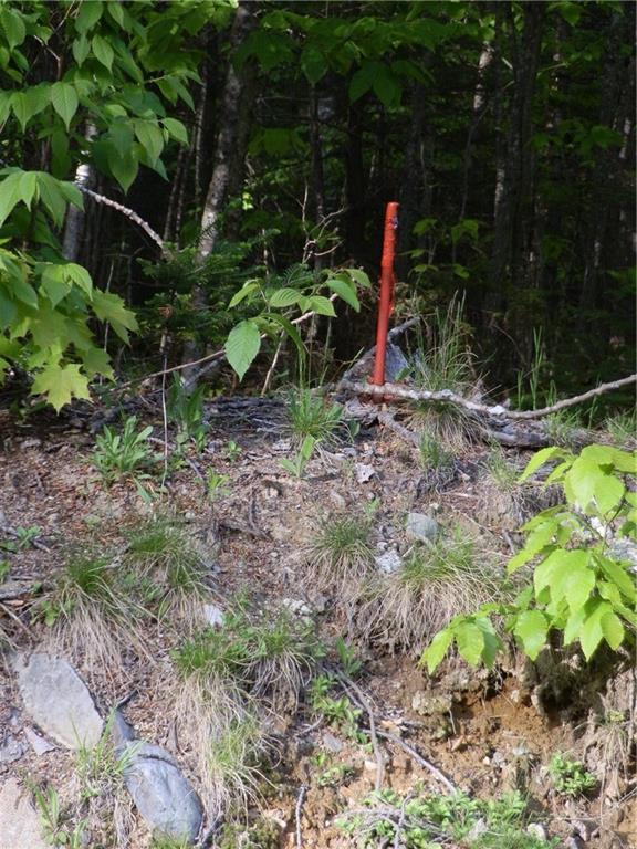 0 Bottle Lake Road Springfield, ME 04487 - Photo 23 of 25 Photo