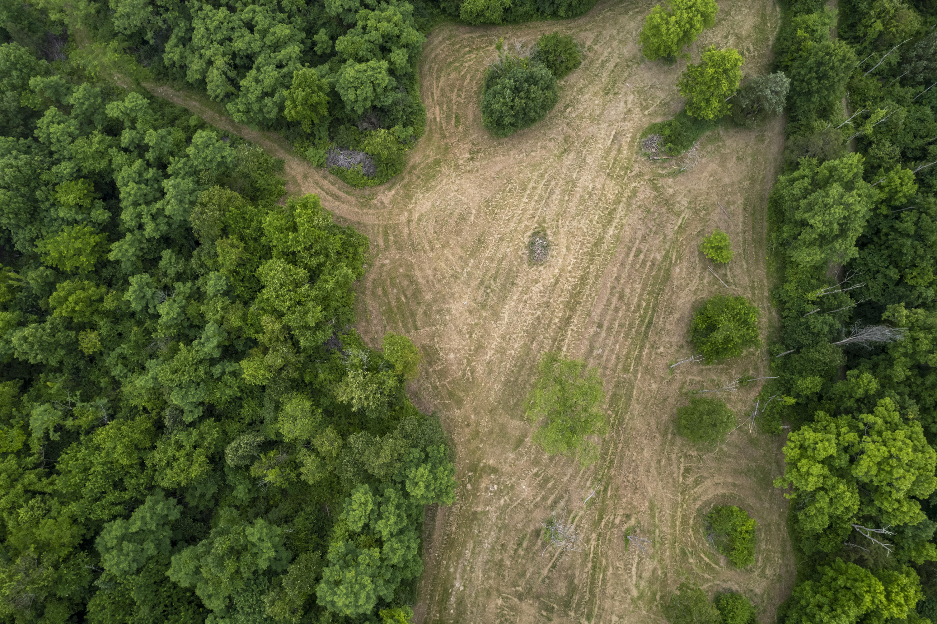 1100 Fairview Road Williamstown, KY 41097 - Photo 53 of 74 Falmouth-27