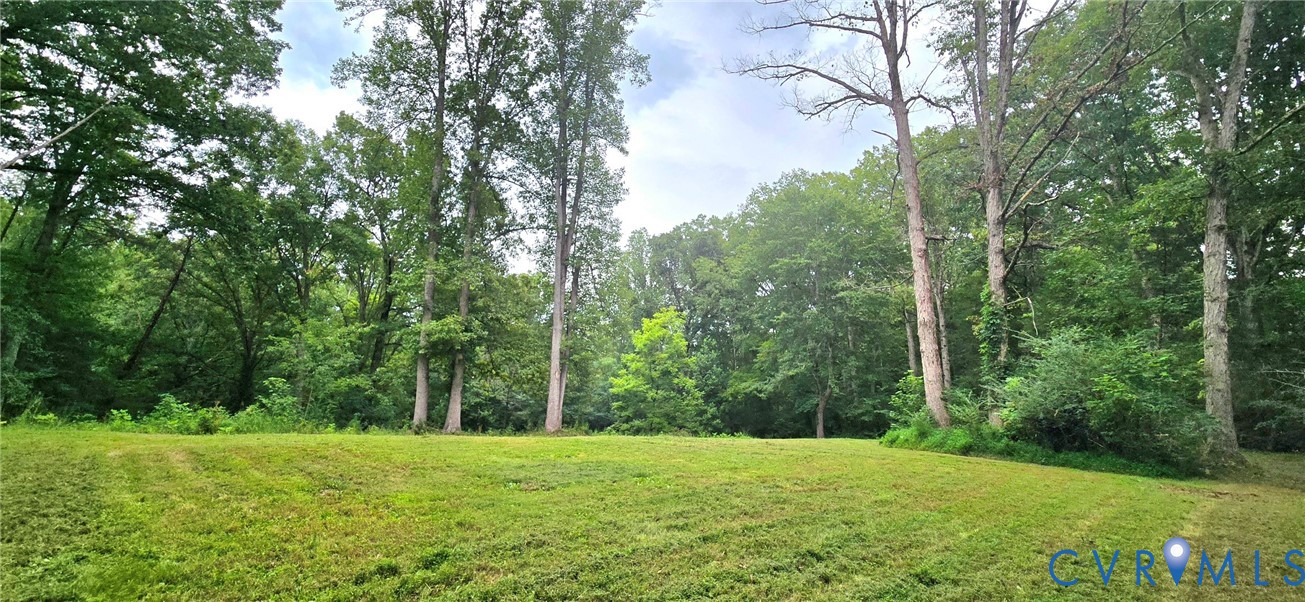 3342 Cedar Plains Road Sandy Hook, VA 23153 - Photo 8 of 10 Expansive grassy area bordered by mature trees