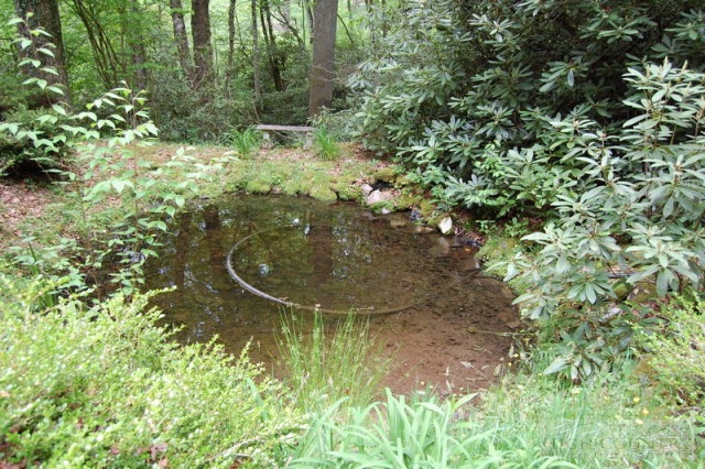 934 Goose Hollow Road Newland, NC 28657 - Photo 2 of 12 Gallery Image 2