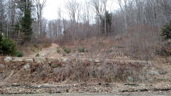 281 Colebrook Road Winchester, CT 06098 - Photo 1 of 1 a view of a dry yard with trees in the background