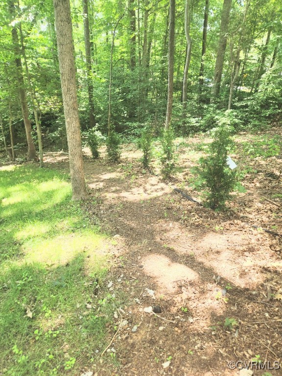 7000 Deer Run Lane Midlothian, VA 23112 - Photo 25 of 27 a view of outdoor space and yard