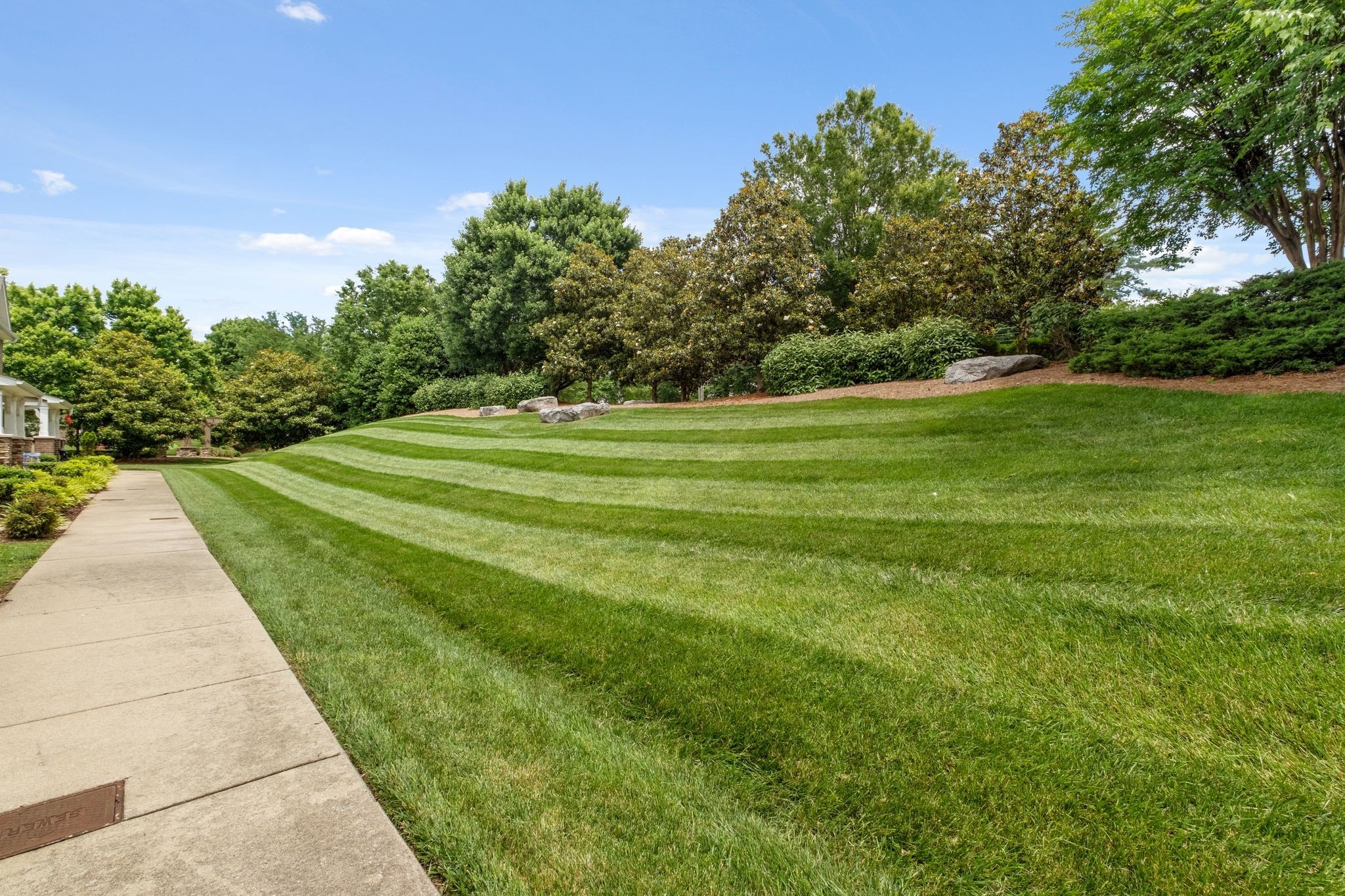 312 Mapleton Alley Hermitage, TN 37076 - Photo 4 of 49 a yard with lots of green space