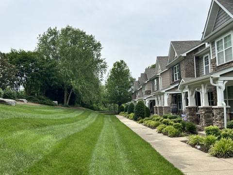 312 Mapleton Alley Hermitage, TN 37076 - Photo 6 of 49 a view of an apartment with a garden and plants