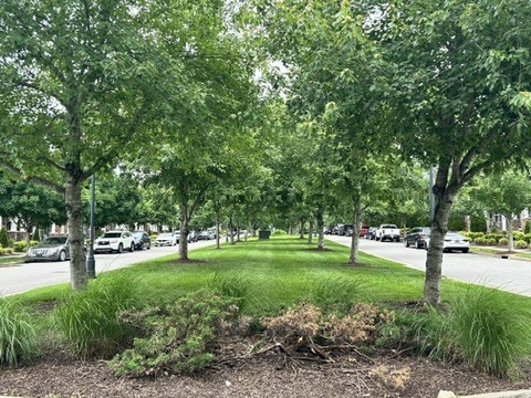 312 Mapleton Alley Hermitage, TN 37076 - Photo 10 of 49 a view of a park with tree s