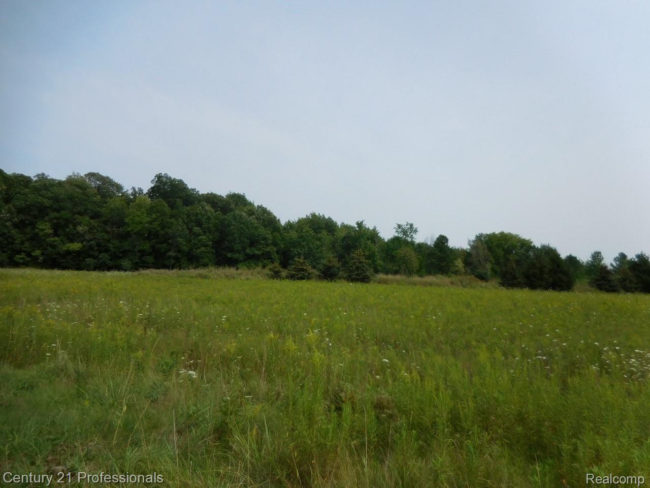 0 Church Road Imlay City, MI 48444 - Photo 10 of 33 13.jpg