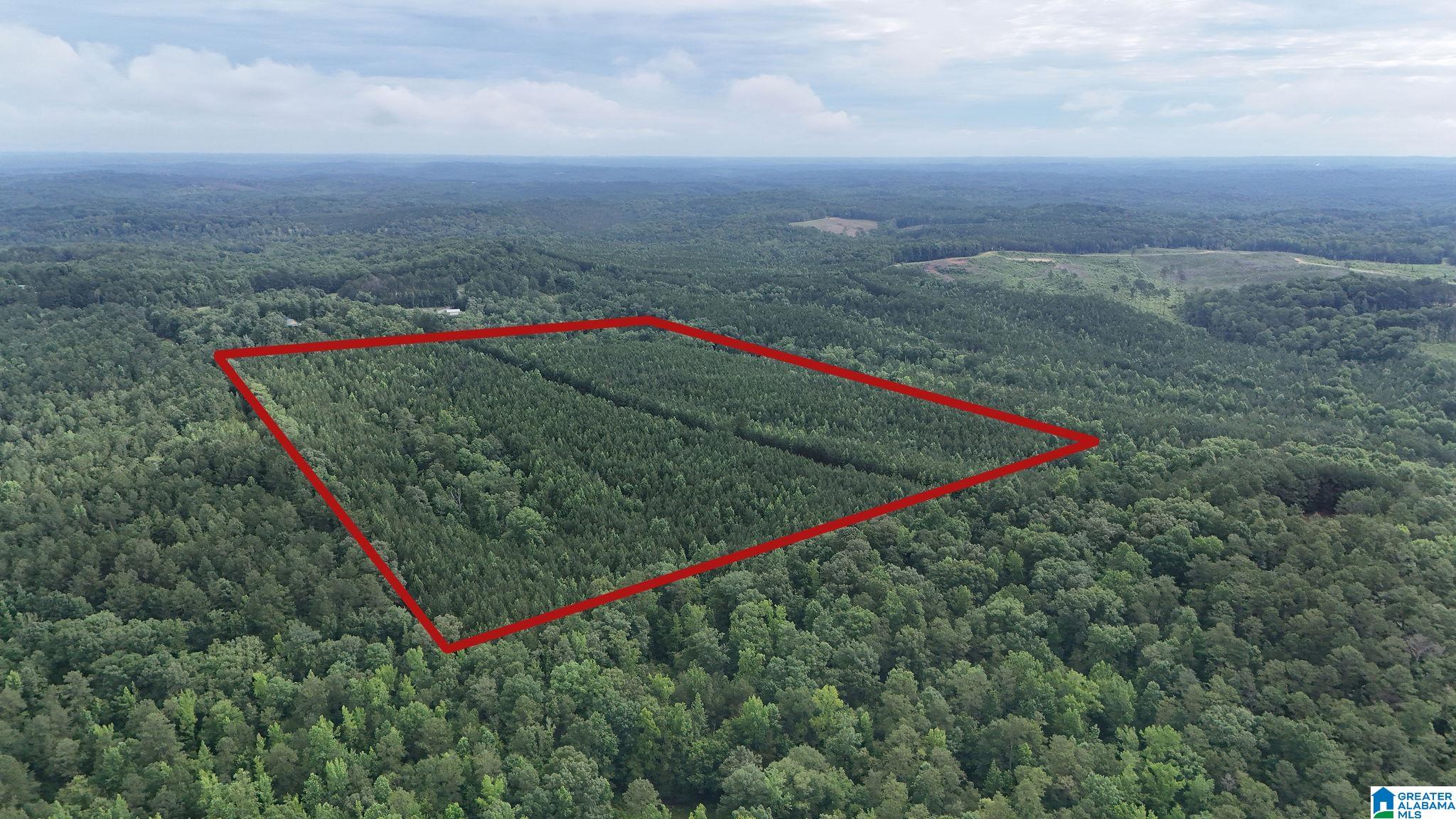0 Skyview Lake Road Cottondale, AL 35453 - Photo 2 of 22