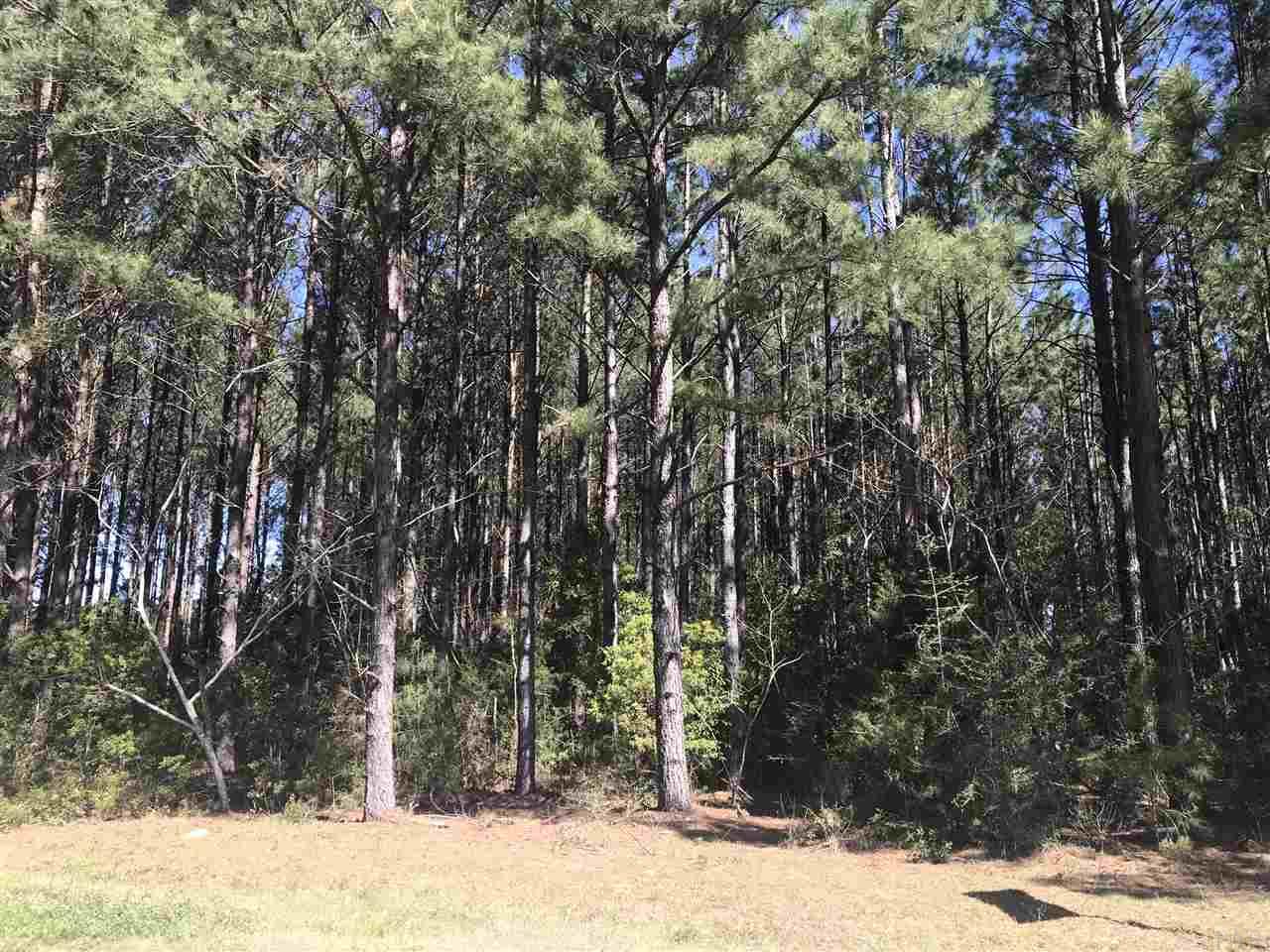 0 Hay Meadow Road Milton, FL 32583 - Photo 1 of 3 Gallery Image 1