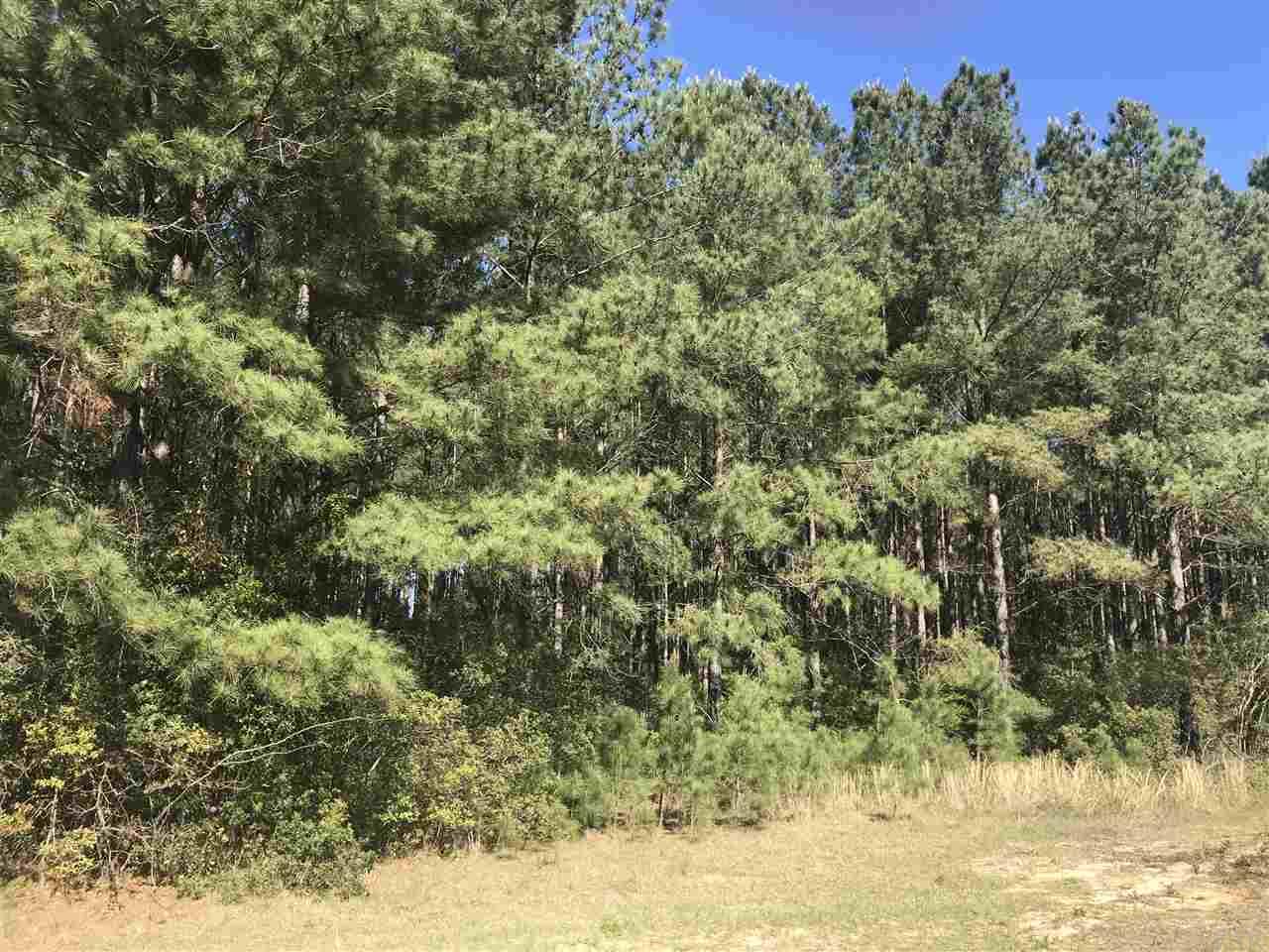 0 Hay Meadow Road Milton, FL 32583 - Photo 3 of 3 Gallery Image 3