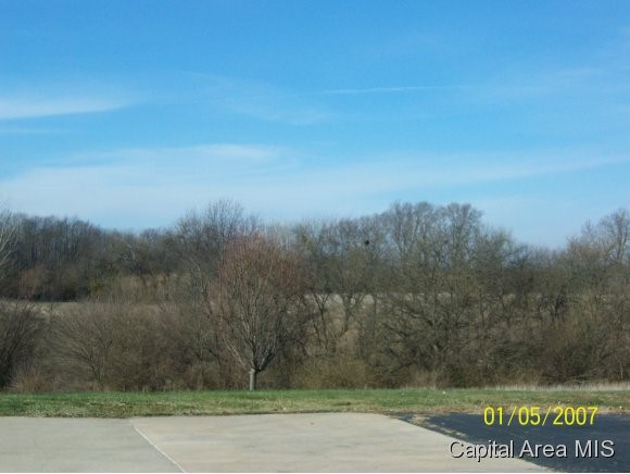 2997 Leach Road Rochester, IL 62563 - Photo 3 of 16
