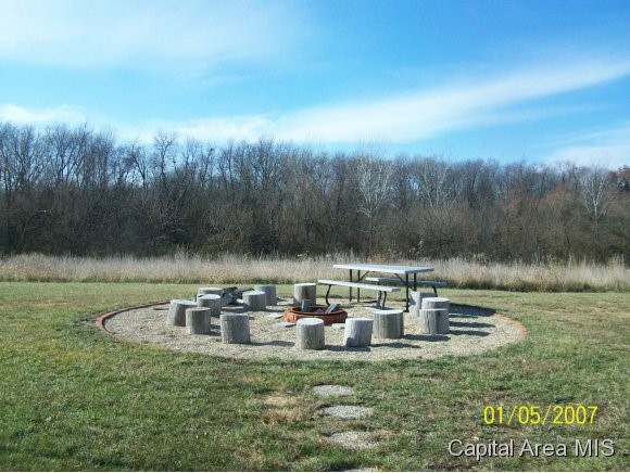 2997 Leach Road Rochester, IL 62563 - Photo 4 of 16