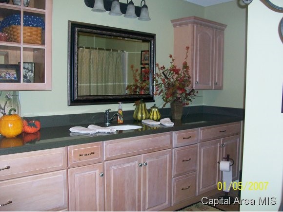 2997 Leach Road Rochester, IL 62563 - Photo 6 of 16