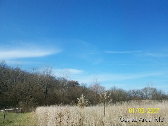 2997 Leach Road Rochester, IL 62563 - Photo 10 of 16