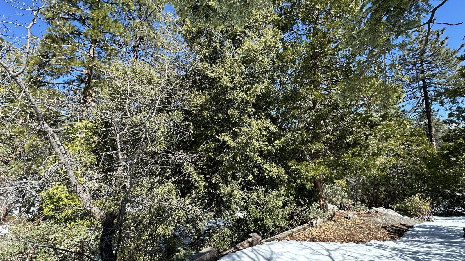 Big Rock Idyllwild, CA 92549 - Photo 3 of 7 a view of a backyard of the house