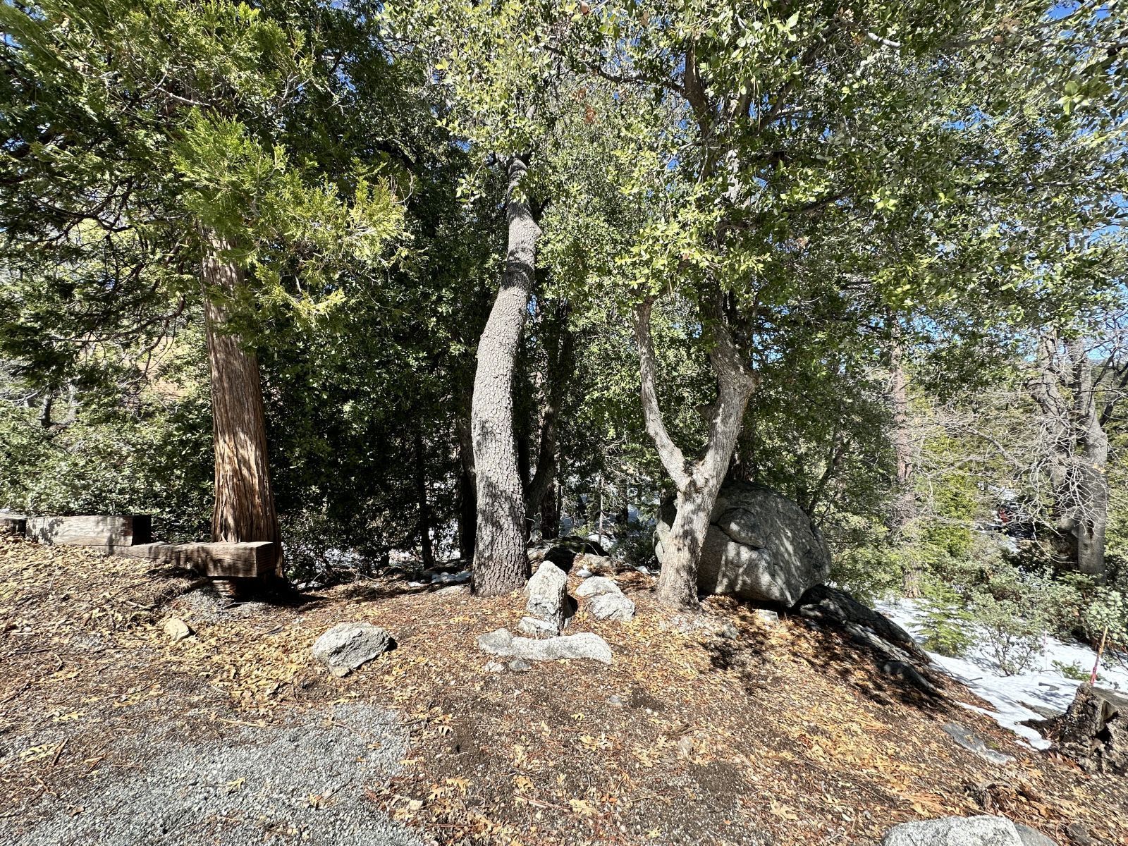 Big Rock Idyllwild, CA 92549 - Photo 5 of 7 a view of outdoor space with deck and trees