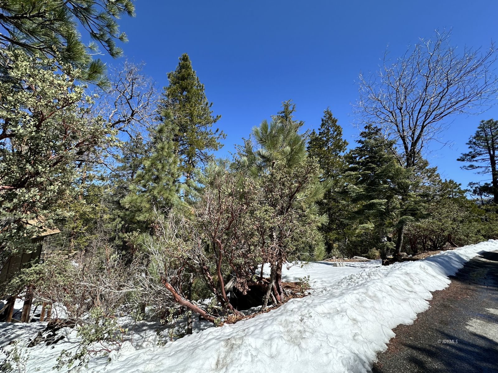 Big Rock Idyllwild, CA 92549 - Photo 7 of 7 a view of a yard