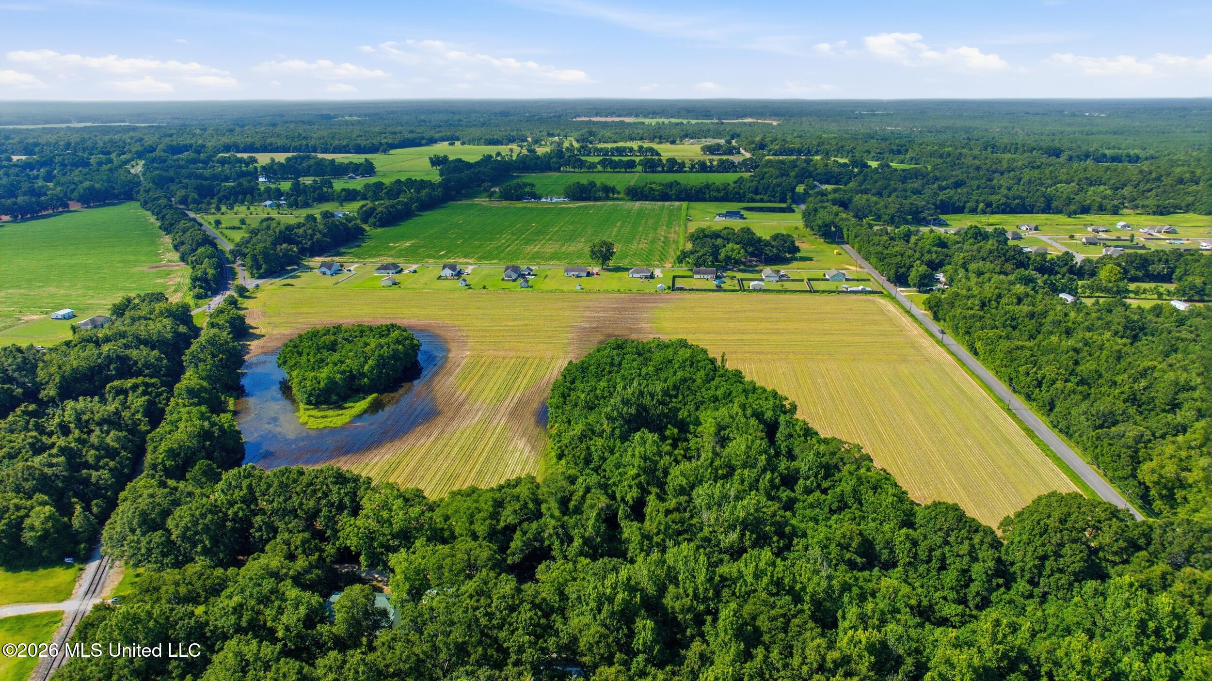 28-acres Harmon Pope Road Lucedale, MS 39452 - Photo 7 of 43 dji_20260628000352_0029_d