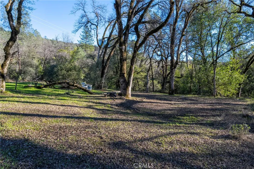 0 Crown Point Road Magalia, CA 95954 - Photo 25 of 39 a view of a yard