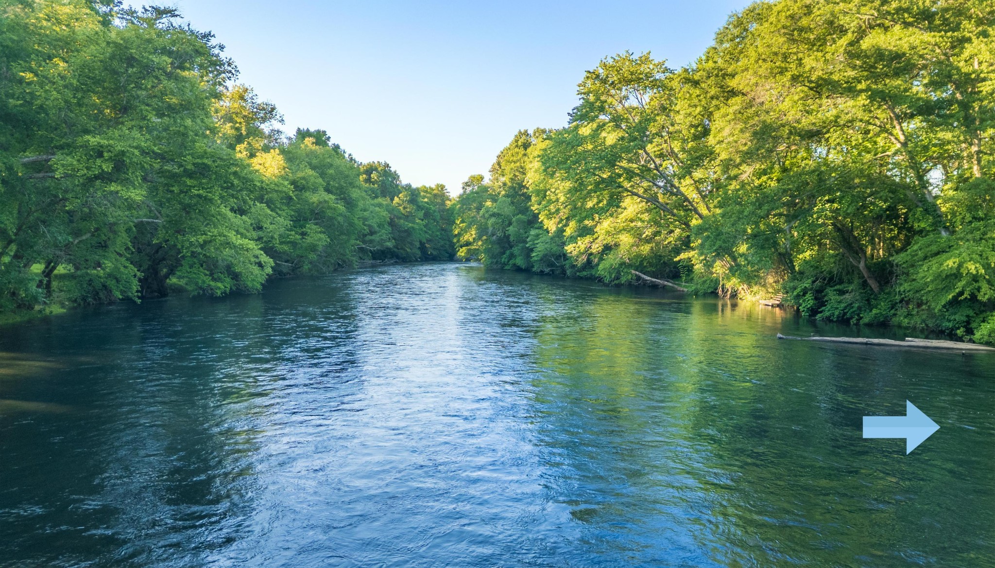 0 Reynolds Bridge Road Benton, TN 37307 - Photo 7 of 15
