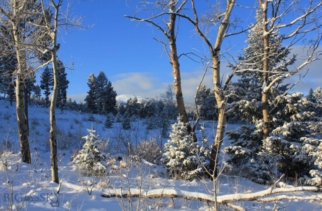 3414 Divide Creek Road Divide, MT 59727 - Photo 28 of 61 Gallery Image 28