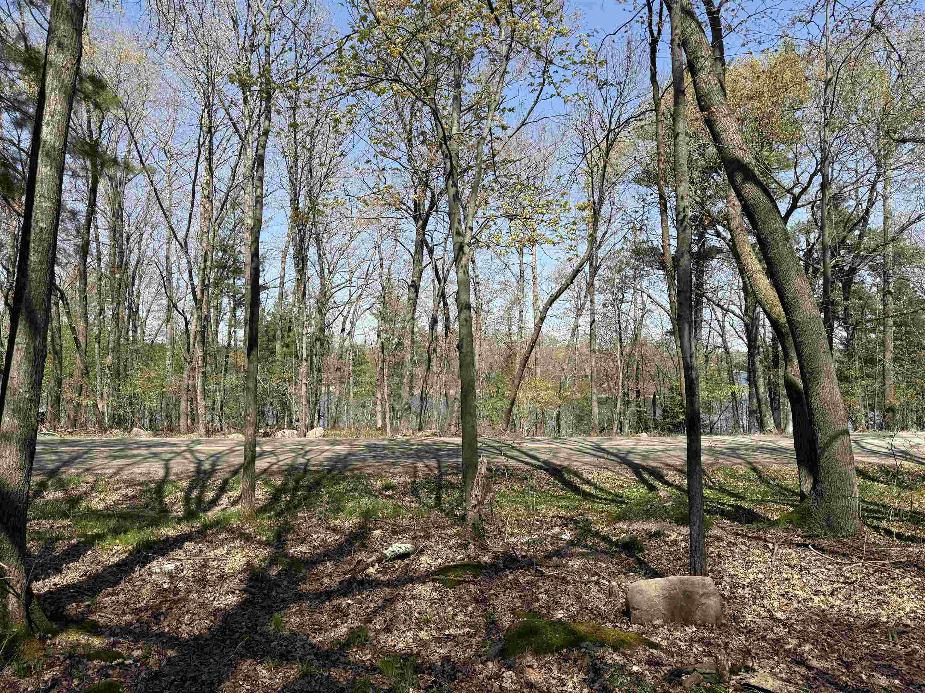Lot 1 County Rd G Iola, WI 54945 - Photo 4 of 9