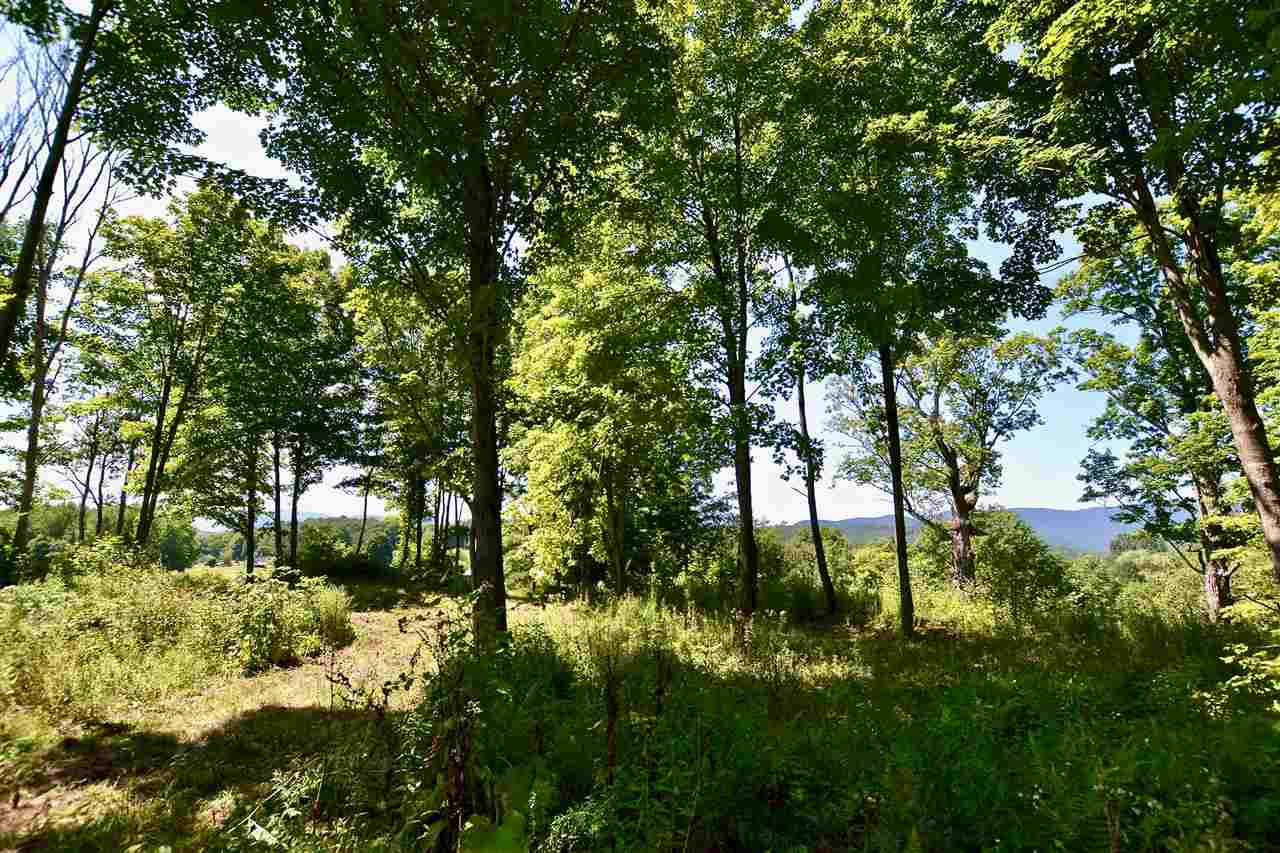 Lot 4 Guptil Road, Unit 4 Waterbury Center, VT 05677 - Photo 5 of 12 Gallery Image 5