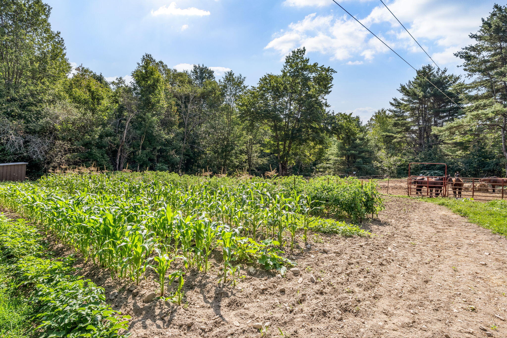 22 Rockland Road Jefferson, ME 04348 - Photo 9 of 69