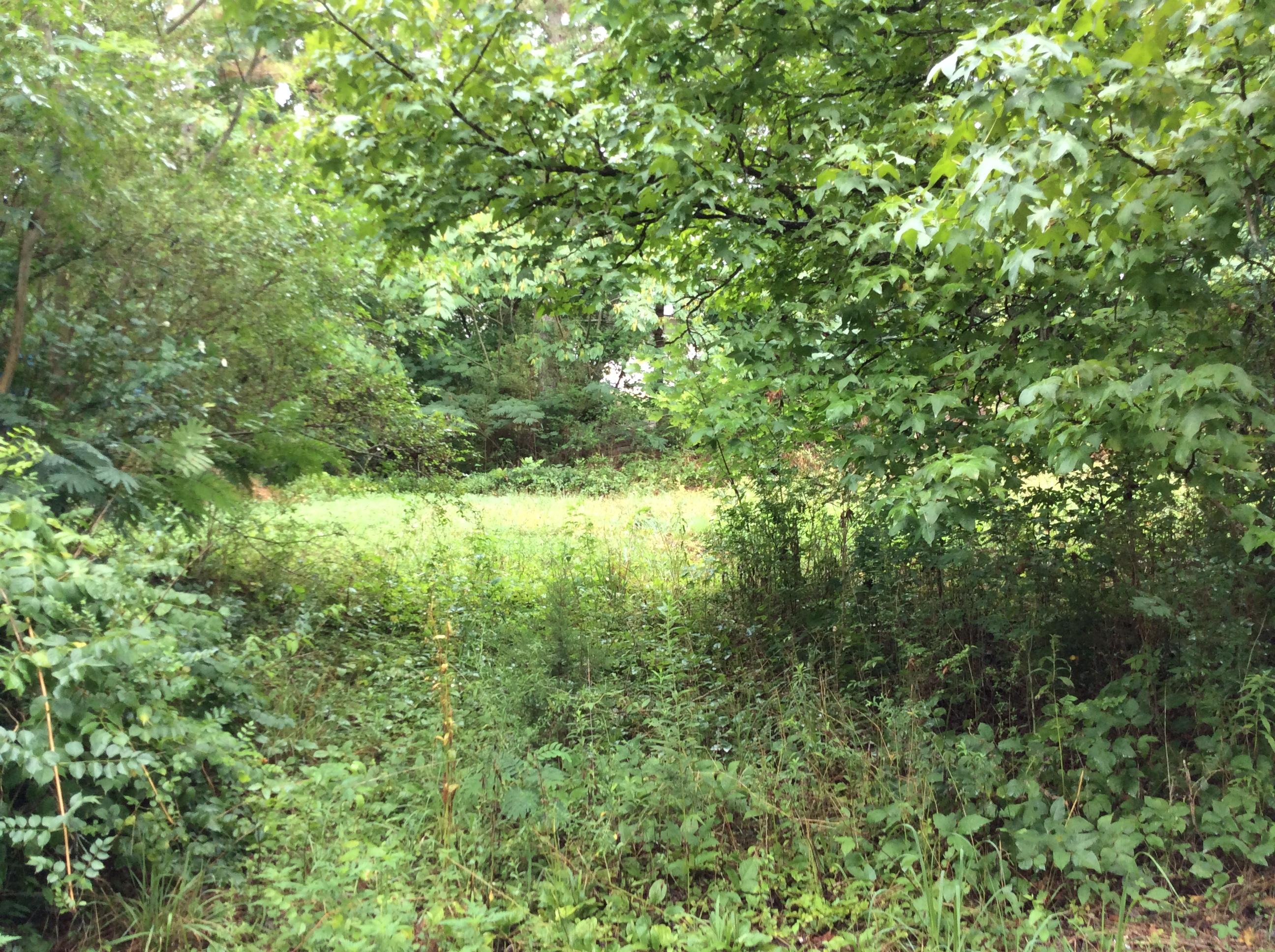 Lot 19 Lail Road Chickamauga, GA 30707 - Photo 1 of 4 IMG_0998