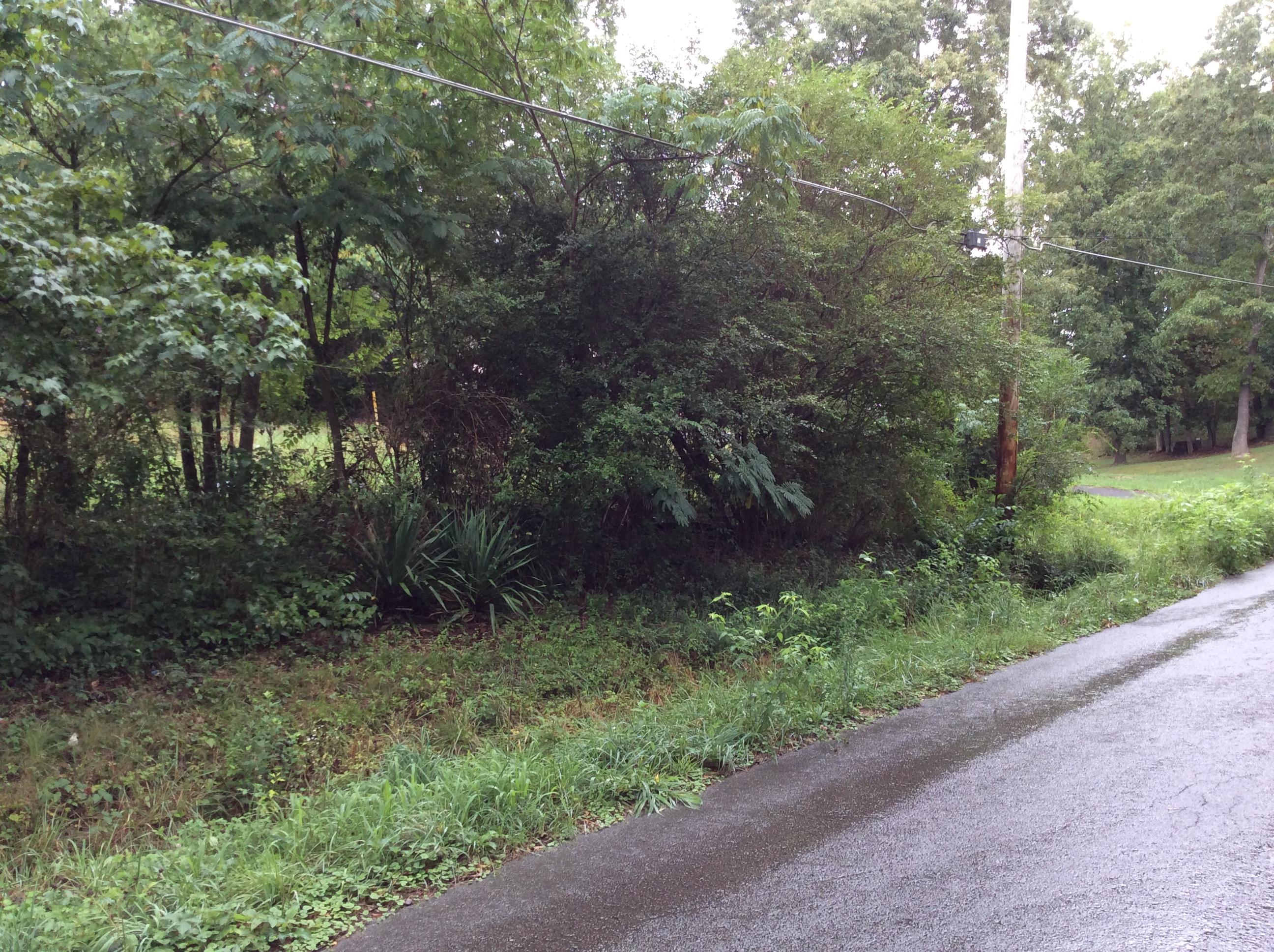 Lot 19 Lail Road Chickamauga, GA 30707 - Photo 3 of 4 IMG_0996