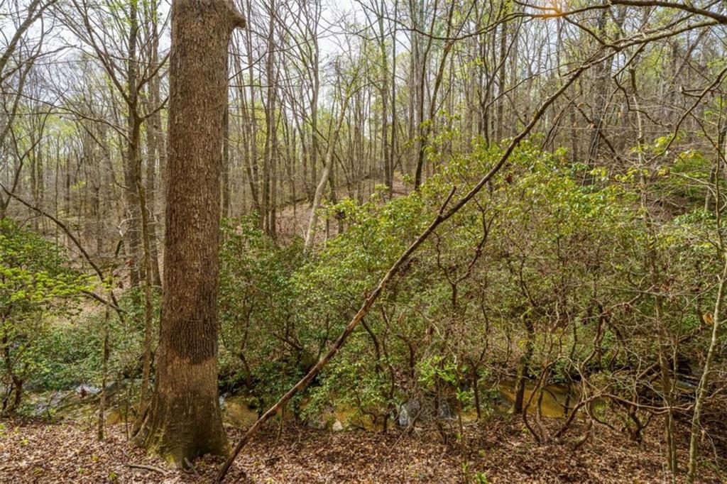3467 Carver Mill Road Talking Rock, GA 30175 - Photo 17 of 23