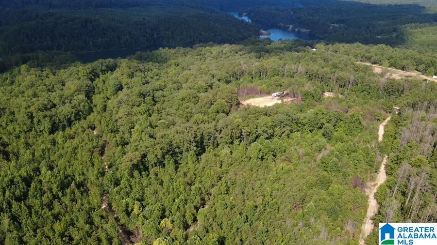 111 Quiet Cove Road Jasper, AL 35503 - Photo 16 of 28 Gallery Image 16