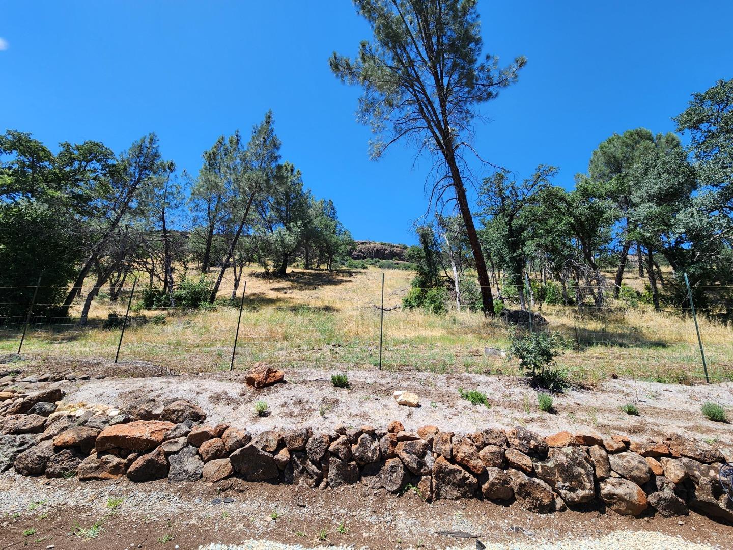 1141 Honey Run Road Chico, CA 95928 - Photo 9 of 38