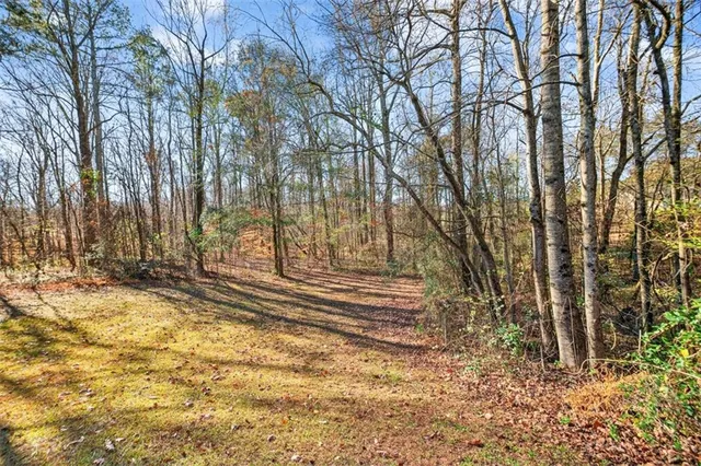 a view of yard along with trees