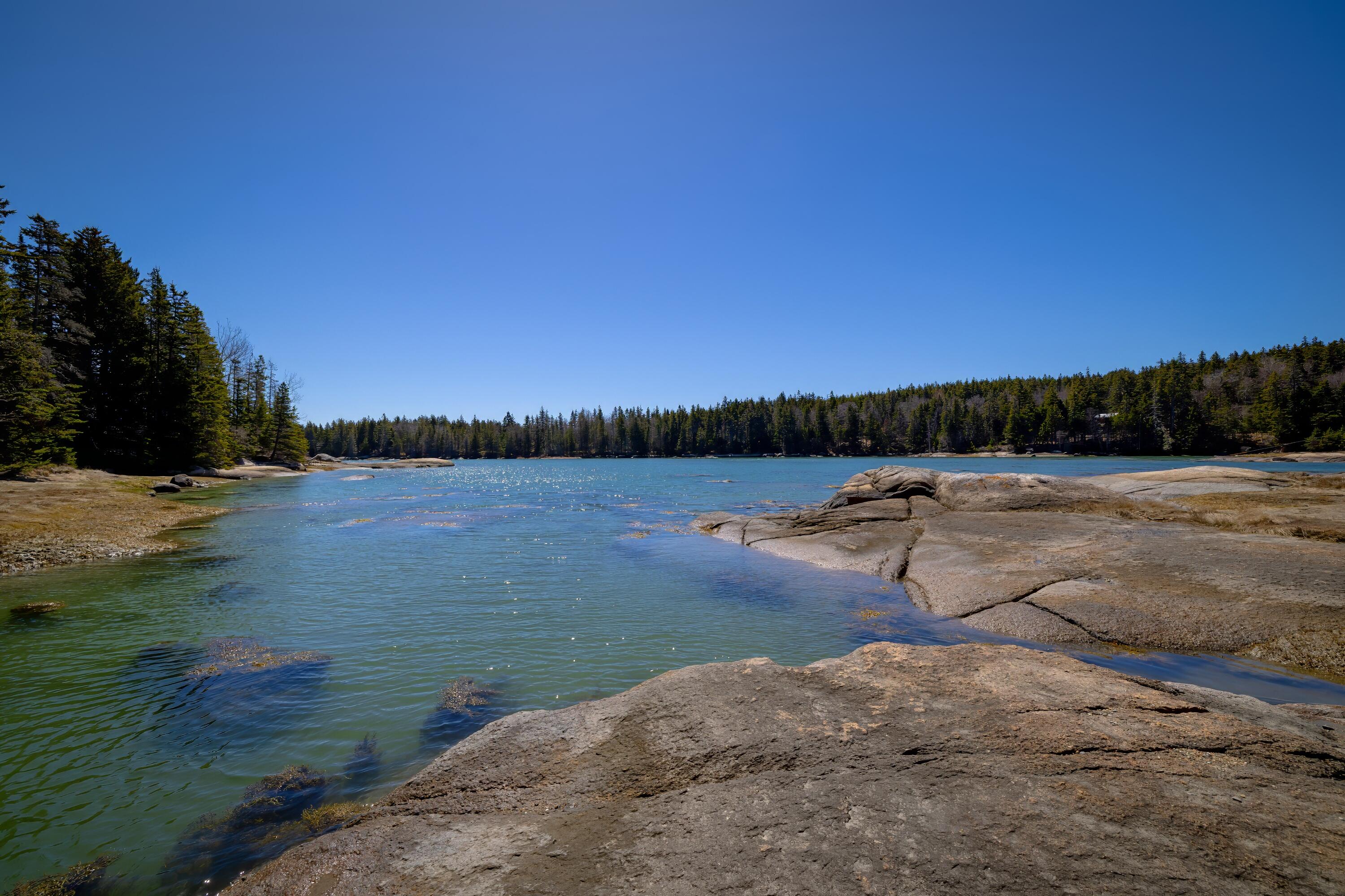 349 Oceanville Road Stonington, ME 04681 - Photo 51 of 51 119-349 Oceanville Road Final-DTP