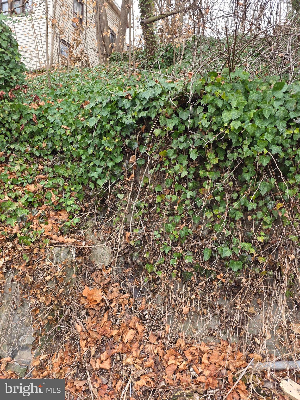 Rockdale Road Clear Spring, MD 21722 - Photo 3 of 3 a view of a yard with plants