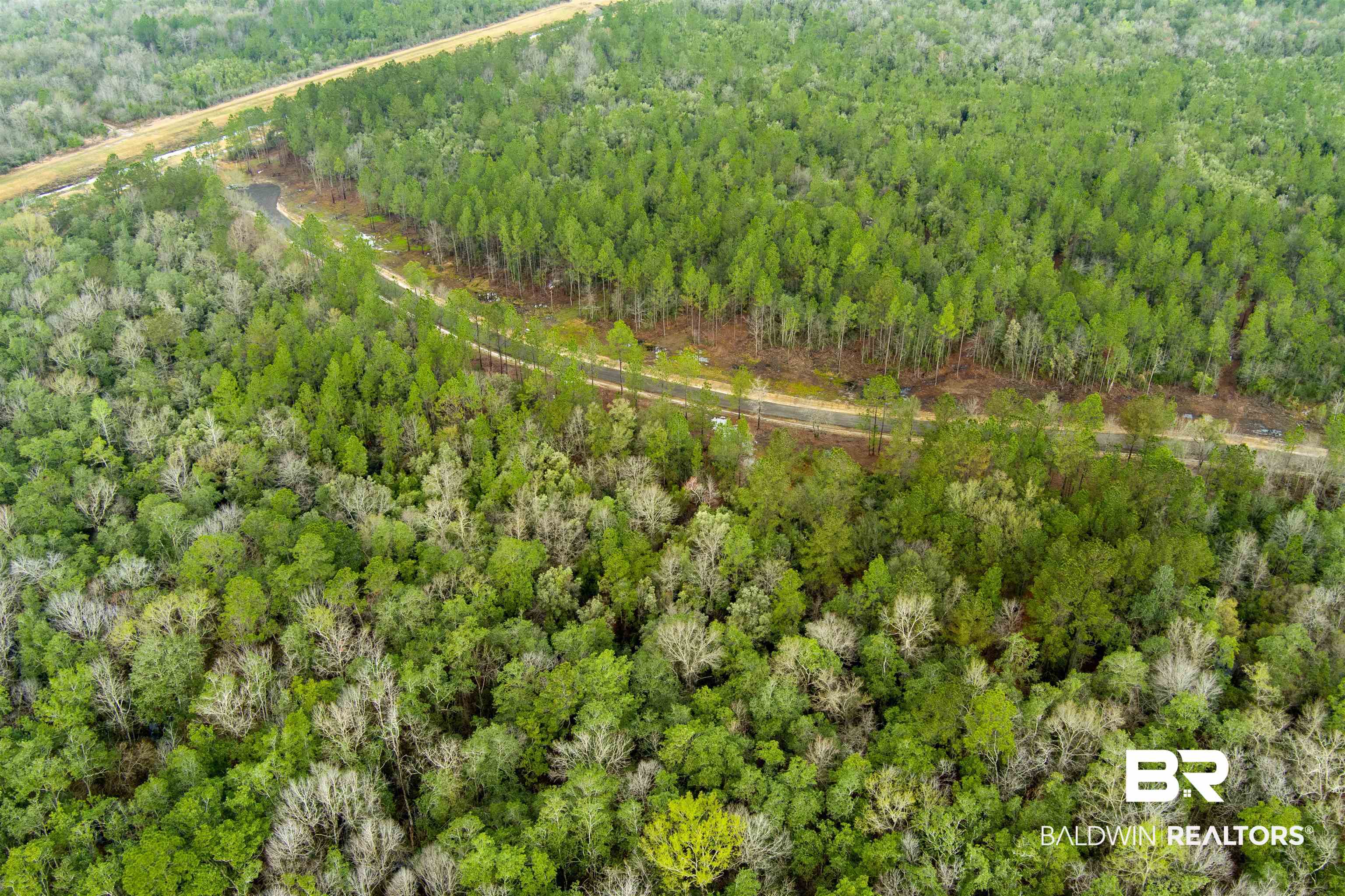 7 Foxtrap Road Axis, AL 36505 - Photo 10 of 20