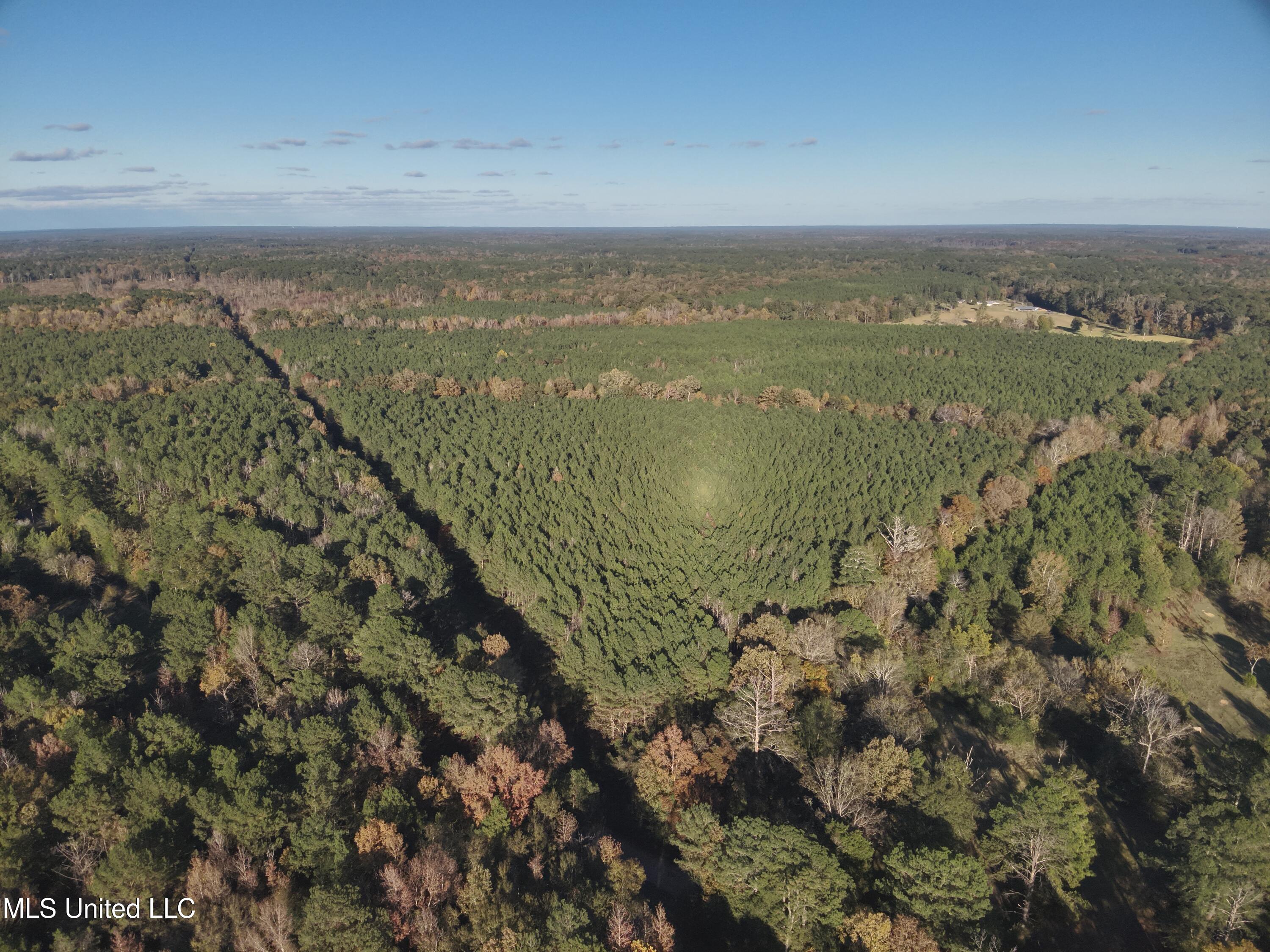 2 Whiddon Road Canton, MS 39046 - Photo 1 of 45 DJI_20251109153203_0020_V