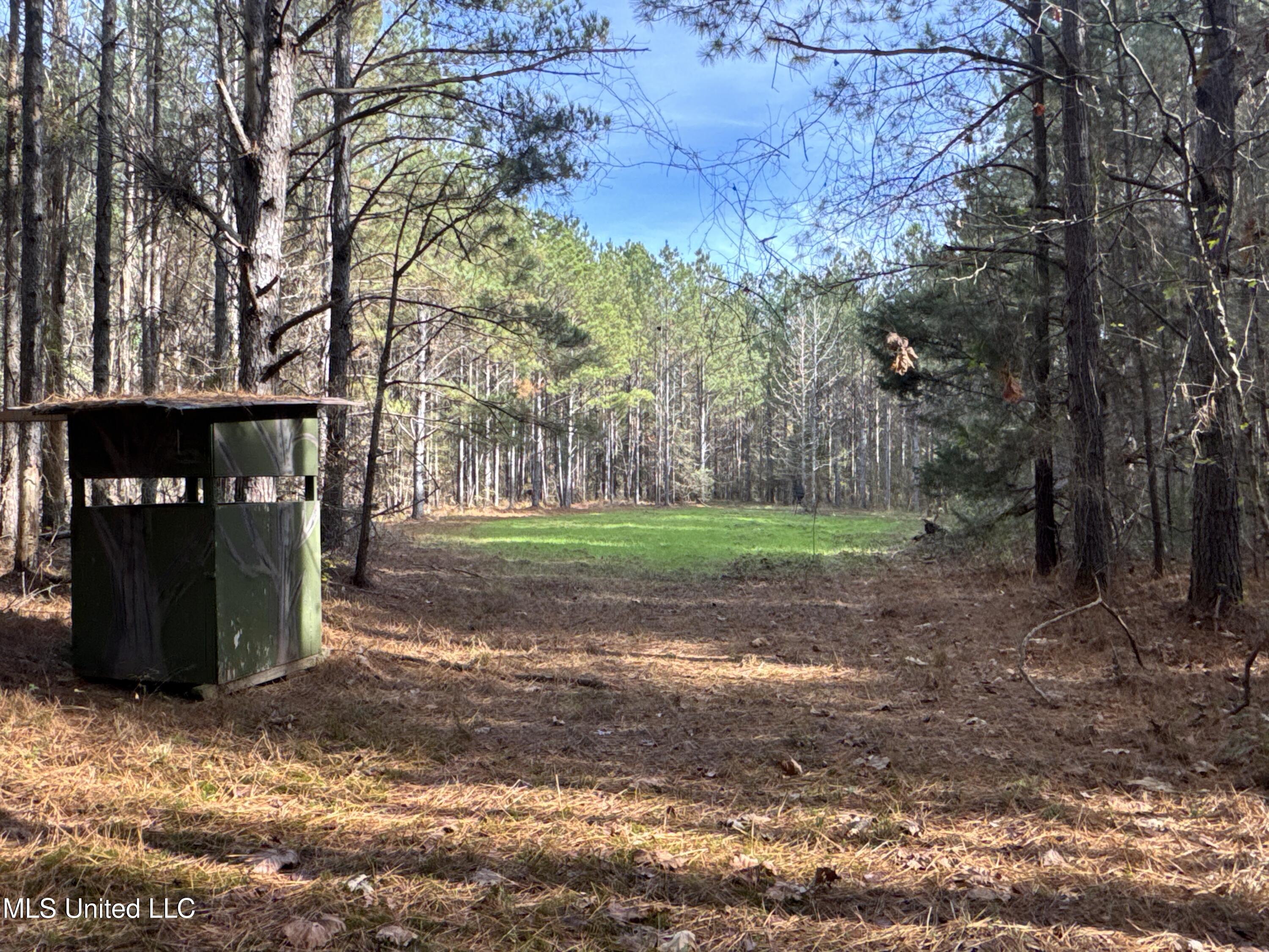 2 Whiddon Road Canton, MS 39046 - Photo 29 of 45 IMG_1642