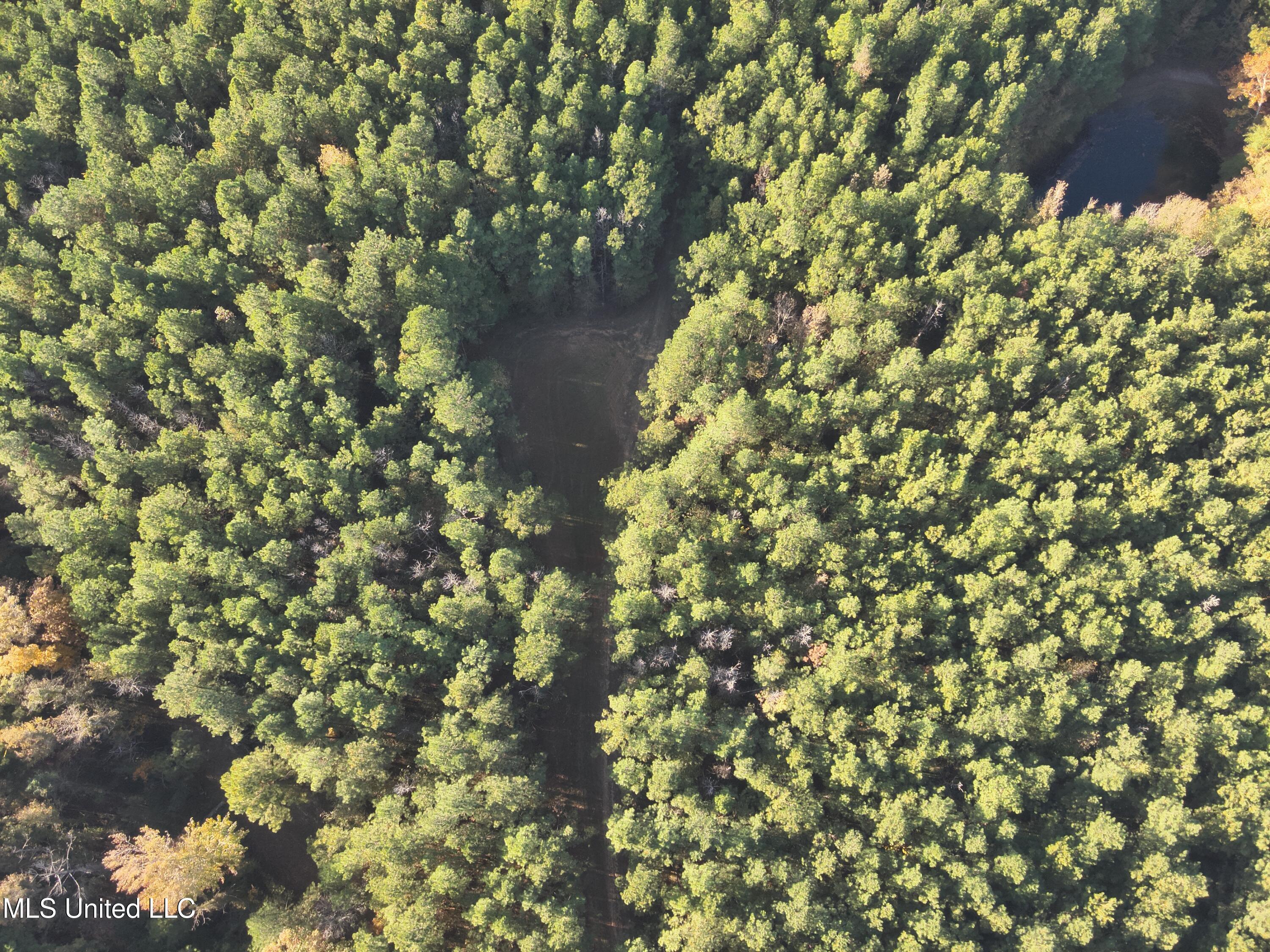 2 Whiddon Road Canton, MS 39046 - Photo 42 of 45 DJI_20251109152040_0014_V