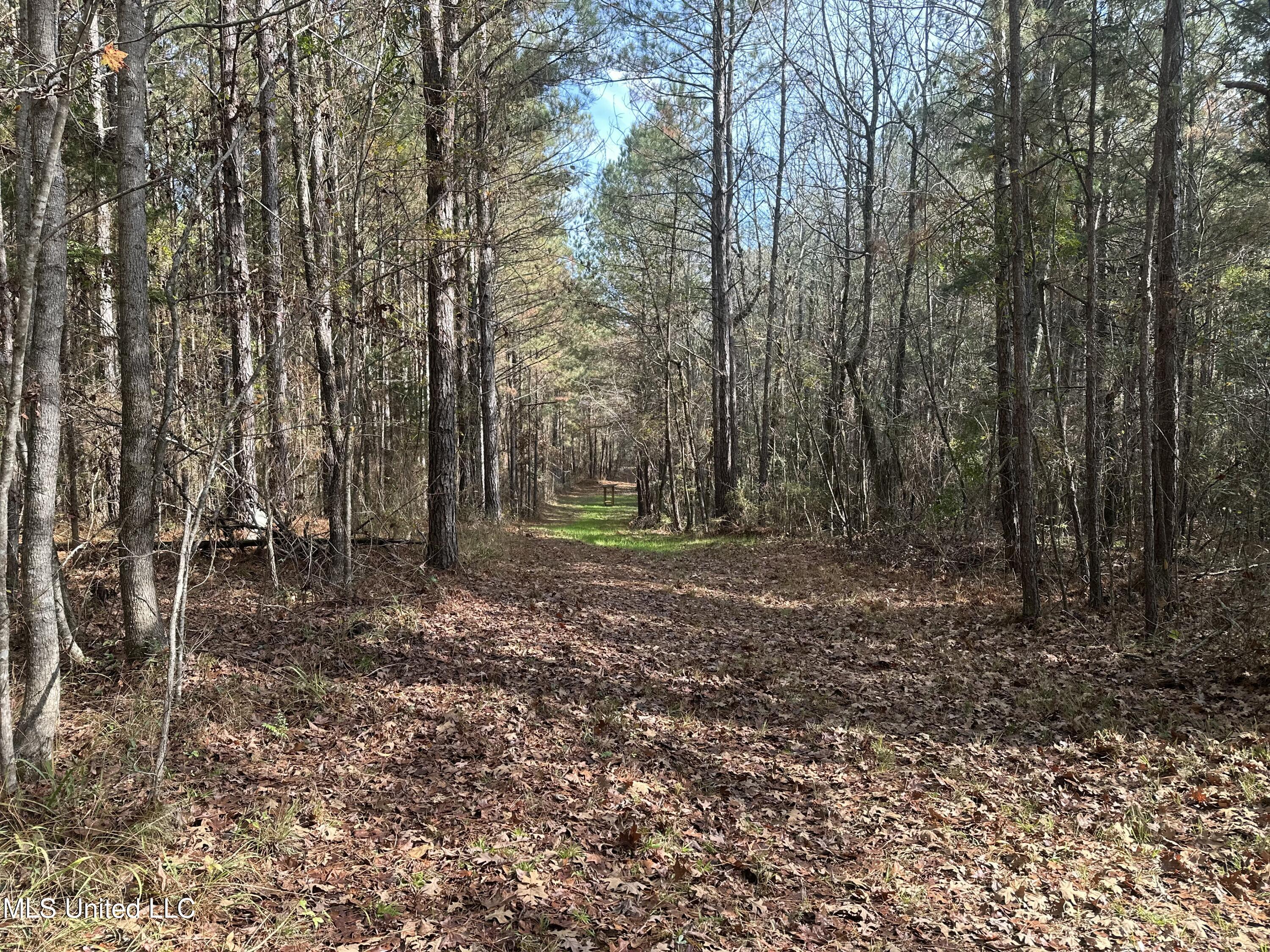 2 Whiddon Road Canton, MS 39046 - Photo 8 of 45 IMG_3867
