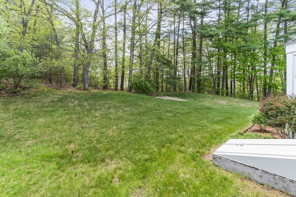 9 Northbriar Road Acton, MA 01720 - Photo 3 of 32