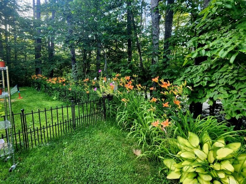 36 Grafton Pond Road Enfield, NH 03748 - Photo 6 of 53 Gallery Image 6