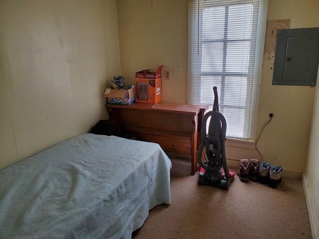4906 Goodar Road South Branch, MI 48761 - Photo 6 of 8