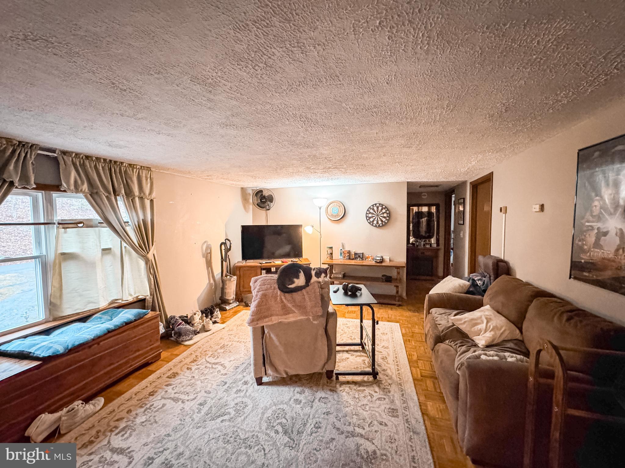 12522 Bakers Hollow Road Hesston, PA 16647 - Photo 48 of 72 a living room with furniture a rug and a flat screen tv