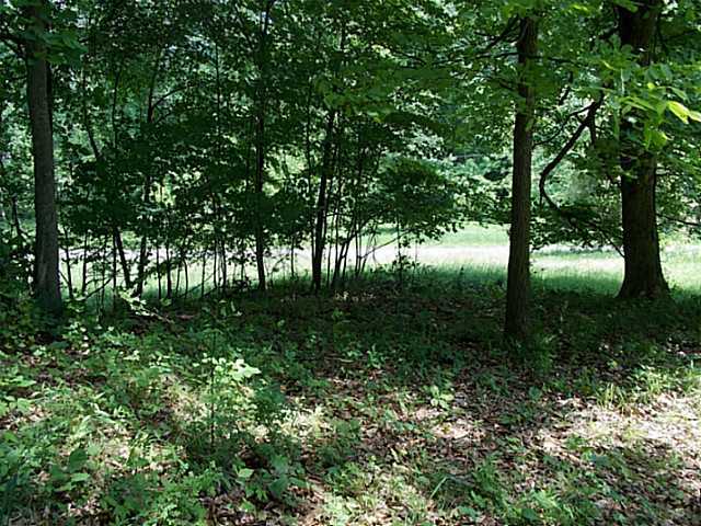 0 Sugar Grove Road Sugar Grove, OH 43155 - Photo 2 of 7