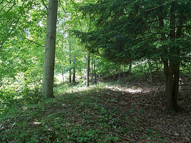 0 Sugar Grove Road Sugar Grove, OH 43155 - Photo 3 of 7