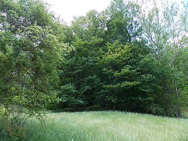 0 Sugar Grove Road Sugar Grove, OH 43155 - Photo 4 of 7