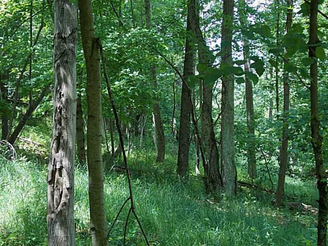 0 Sugar Grove Road Sugar Grove, OH 43155 - Photo 7 of 7
