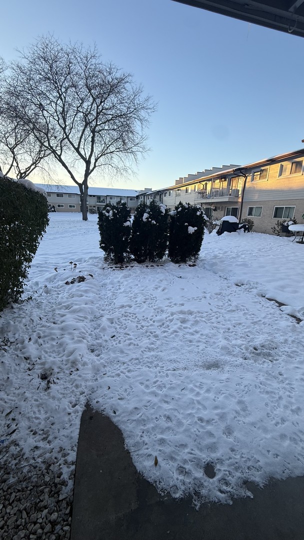 880 East Old Willow Road, Unit 175 Prospect Heights, IL 60070 - Photo 10 of 10 a view of outdoor space and yard